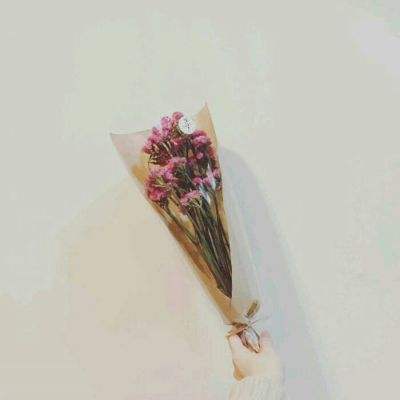 巨人网络绿色征途手游下载